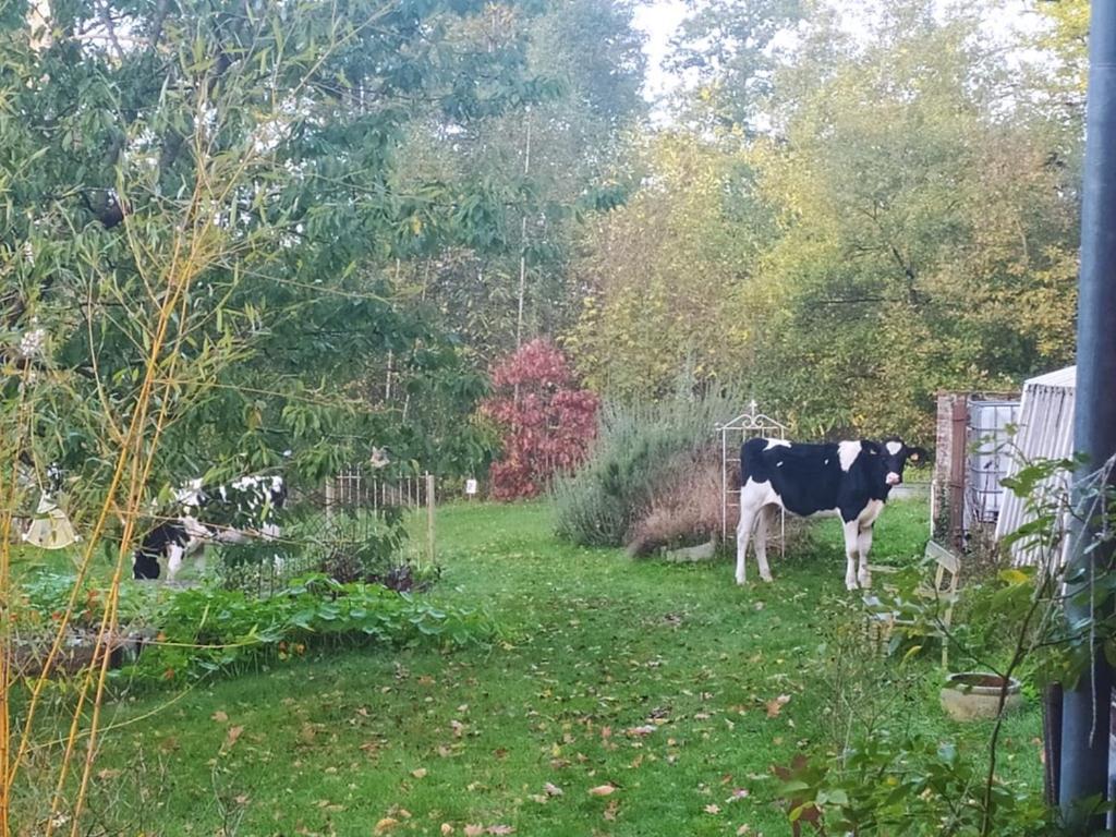Гостевой дом La Bruyere Du Coq Stables Sart-Dames-Avelines Экстерьер фото